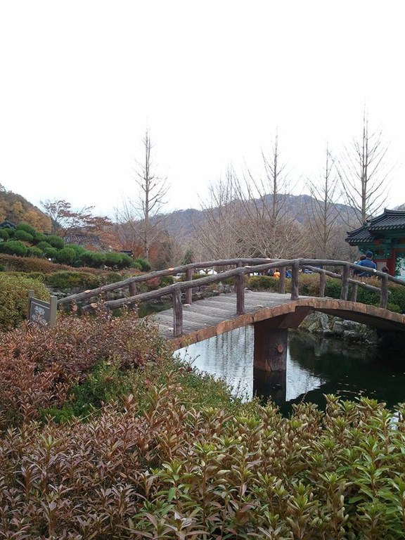 4Korea, footbridge, Luda Egbalic FB.jpg
